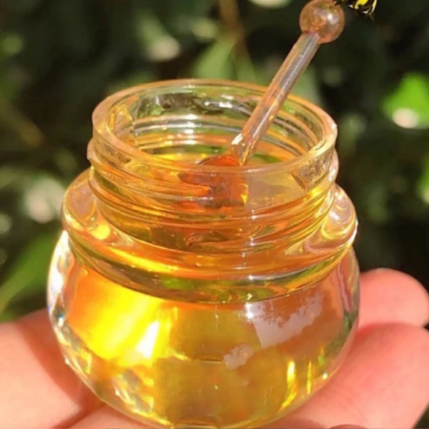 Beeswax Lip Balm Organic Honey Overnight Moisturizing Bee Hydrating Lip